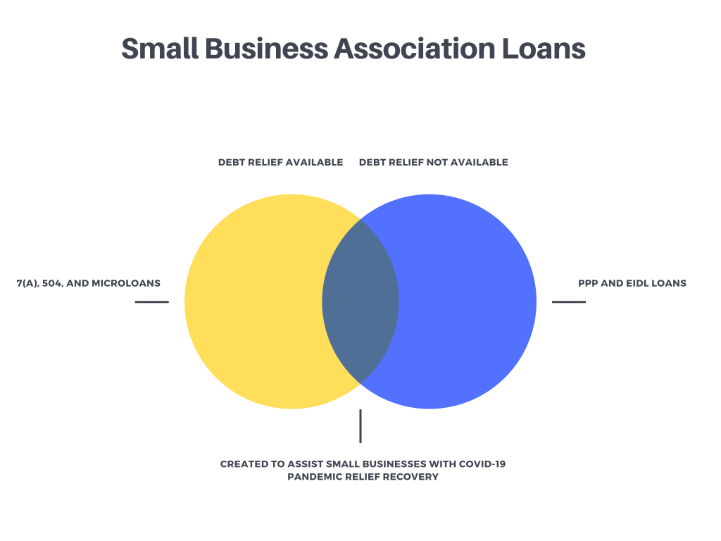 Small Business Association Loans Graph 