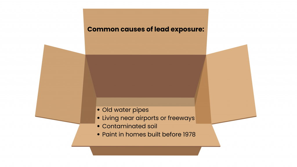 Common causes of lead exposure 